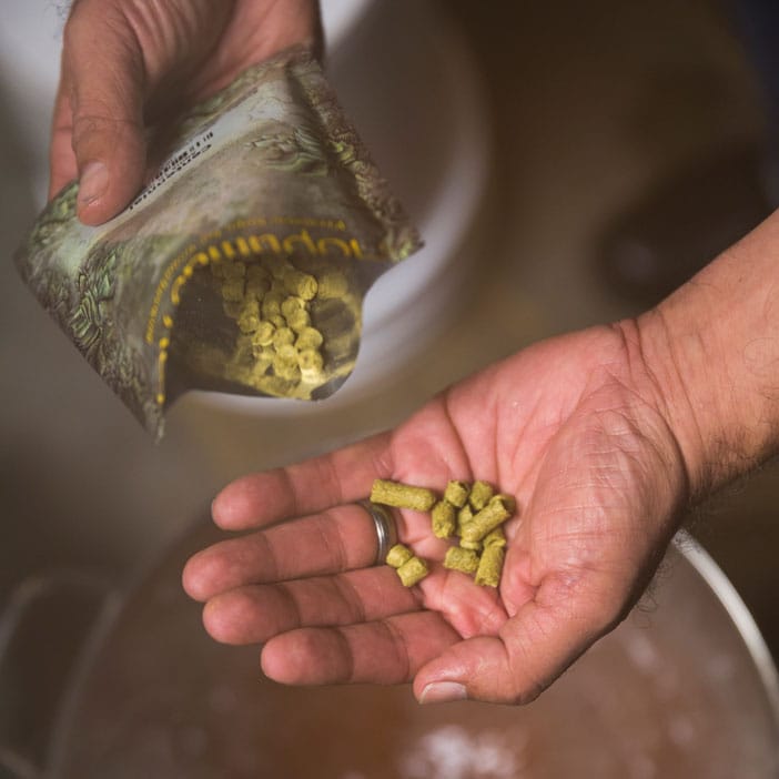 Micro Brewed Kit (1 gal) - Carbonation Drops